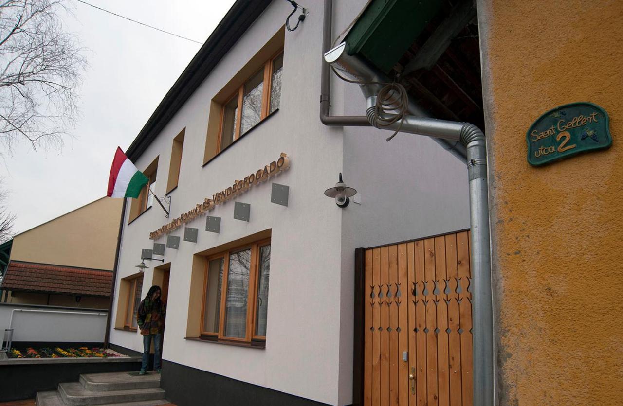 Makó Szent Gellert Borhaz Es Vendegfogado B&B 외부 사진